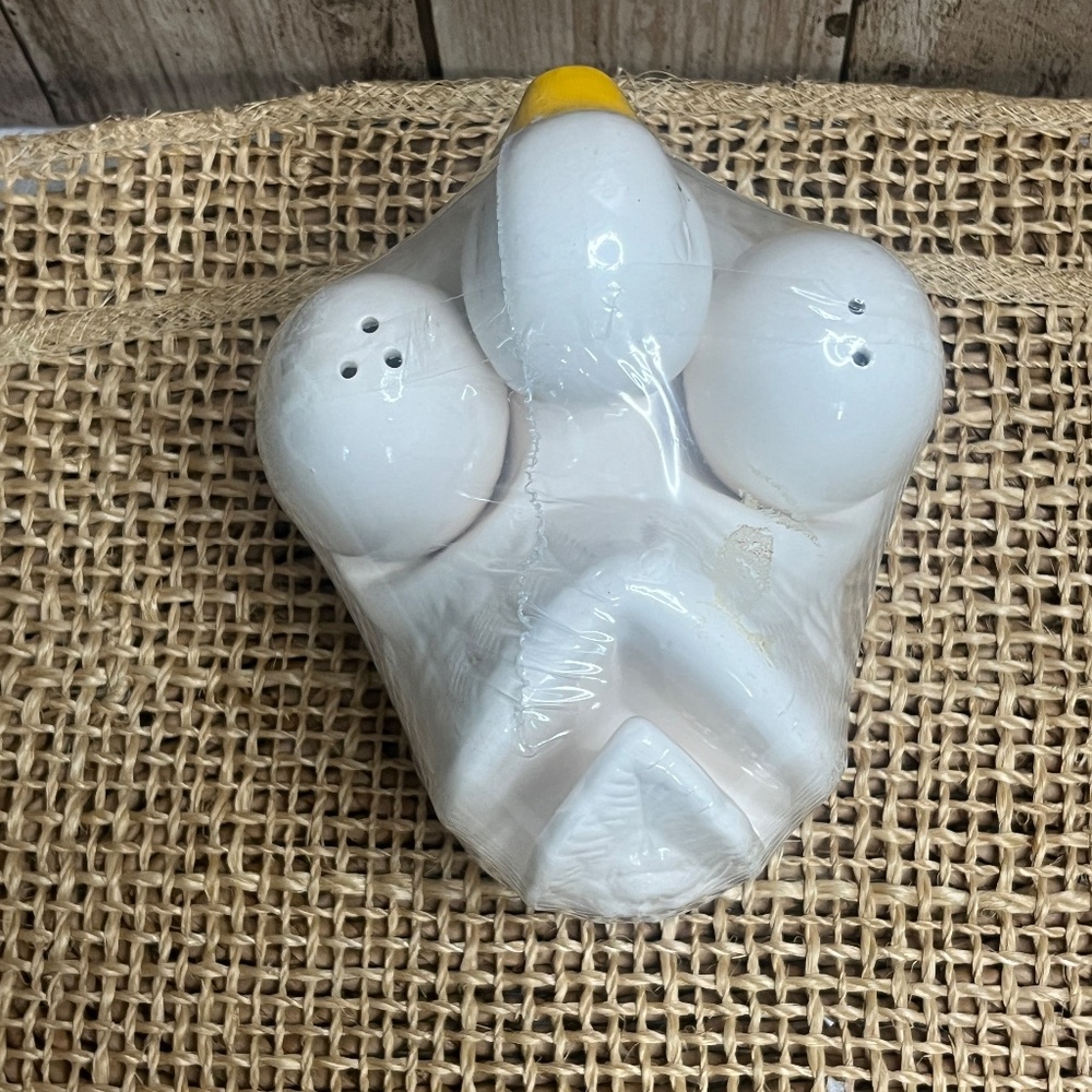 Vintage Goose Salt & Pepper Shakers w/ Holder | Ceramic Farmhouse Kitchen Decor - Picture 6 of 9
